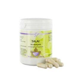 Holisan Salai (100 Vegetarische capsules)