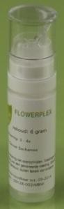 Balance Pharma HFP037 Metabolisme Flowerplex (6 Gram)