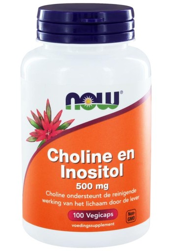 NOW Choline en inositol 500 mg (100 Vegetarische capsules)