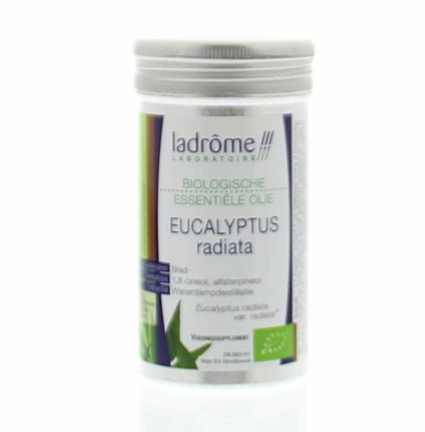 Ladrome Eucalyptus radiata olie bio (10 Milliliter)