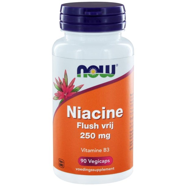 NOW Niacine flush vrij 250mg (90 Vegetarische capsules)