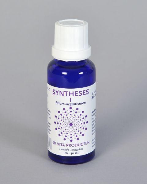 Vita Syntheses 1 micro organismen (30 Milliliter)