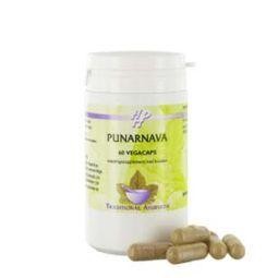 Holisan Punarnava (60 Vegetarische capsules)