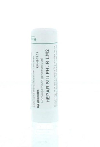 Homeoden Heel Hepar sulphur LM2 (6 Gram)