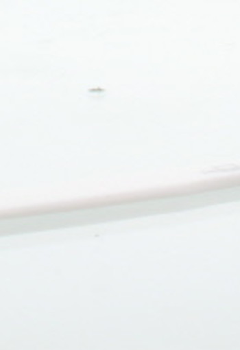Malteser Cremespatel GAL 14 x 1.5 cm K29 (1 Stuks)