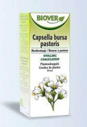 Biover Capsella bursa pastor tinctuur bio (50 Milliliter)