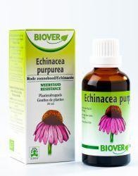 Biover Echinapurpurea tinctuur bio (50 Milliliter)