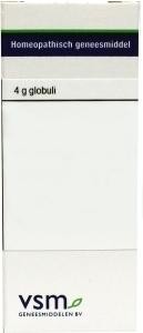 VSM Aurum metallicum LM1 (4 Gram)