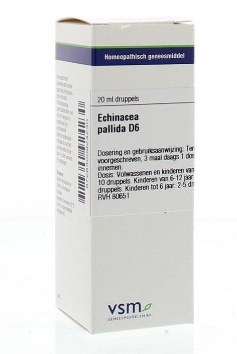 VSM Echinacea pallida D6 (20 Milliliter)