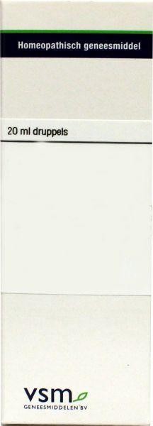 VSM Plumbum metallicum D12 (20 Milliliter)