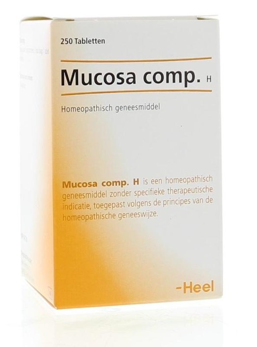 Heel Mucosa compositum H (250 Tabletten)