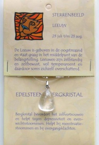 Steengoed Sterrenbeeldsteen hanger leeuw (1 Stuks)