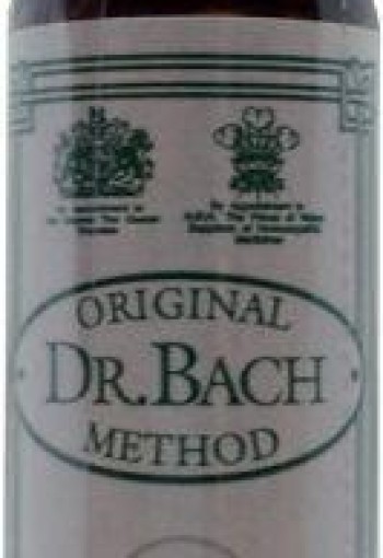 Ainsworths Cerato Bach (10 Milliliter)