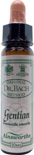 Ainsworths Gentian Bach (10 Milliliter)