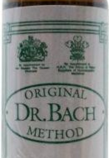 Ainsworths Hornbeam Bach (10 Milliliter)