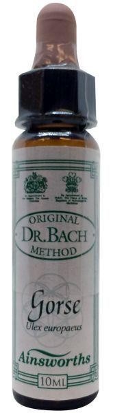 Ainsworths Gorse Bach (10 Milliliter)