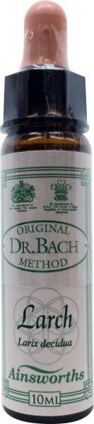 Ainsworths Larch Bach (10 Milliliter)