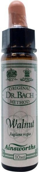 Ainsworths Walnut Bach (10 Milliliter)