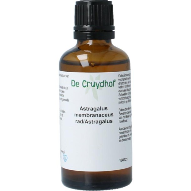 Cruydhof Astragalus membranaceus radix tinctuur (50 Milliliter)