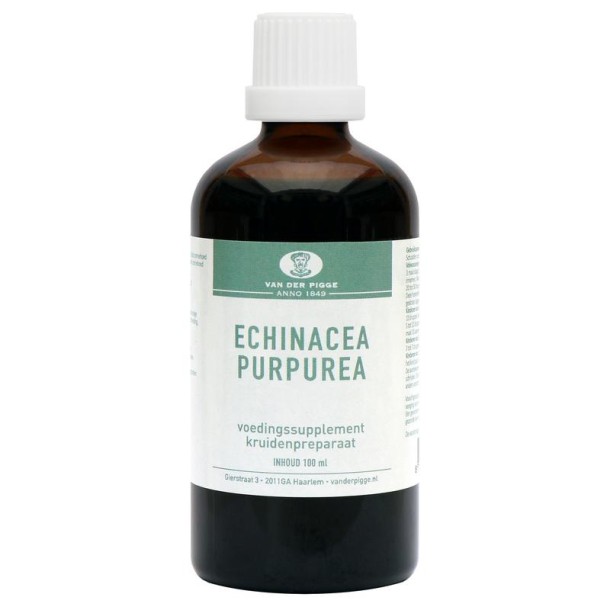 Van der Pigge Echinacea purpurea (100 Milliliter)