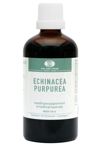 Van der Pigge Echinacea purpurea (100 Milliliter)