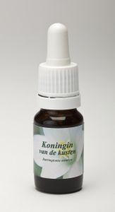 Star Remedies Koningin van de kusten (10 Milliliter)