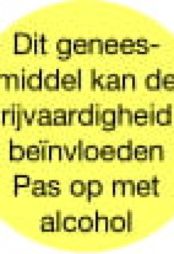 Blockland Strooketiket rijvaardigheid rond geel 16mm (1000 Stuks)