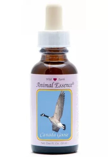 Animal Essences Canada goose (Canadese gans) (30 Milliliter)