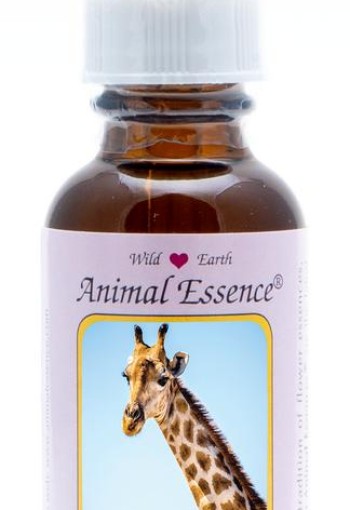 Animal Essences Giraffe (giraf) (30 Milliliter)