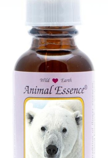 Animal Essences Polar bear (ijsbeer) (30 Milliliter)