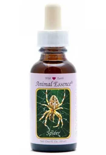 Animal Essences Spider (spin) (30 Milliliter)