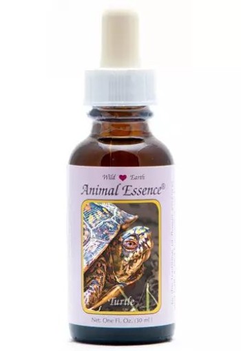 Animal Essences Turtle (zeeschildpad) (30 Milliliter)