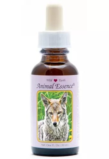 Animal Essences Coyote (prairiewolf) (30 Milliliter)