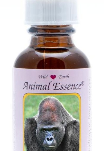 Animal Essences Gorilla (30 Milliliter)