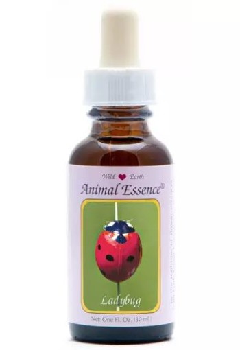 Animal Essences Ladybug (lieveheersbeestje) (30 Milliliter)