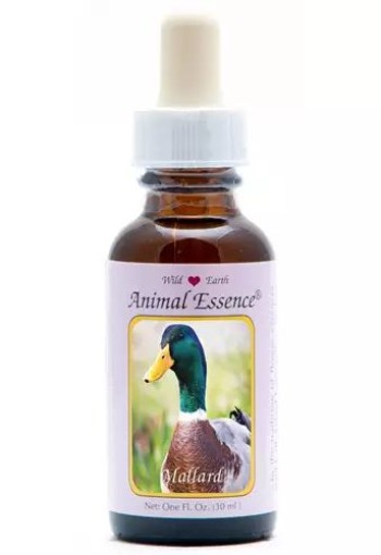 Animal Essences Mallard (wilde eend) (30 Milliliter)