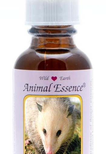 Animal Essences Opossum (buidelrat) (30 Milliliter)