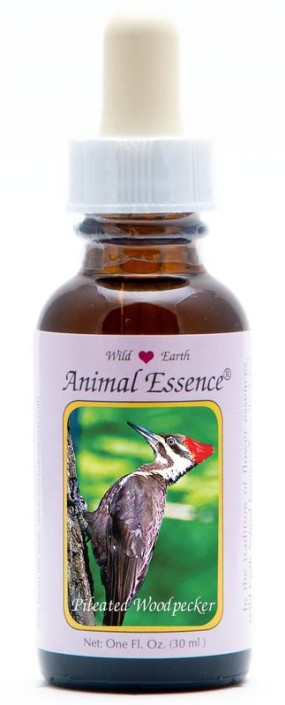 Animal Essences Pileated woodpecker (helmspecht) (30 Milliliter)