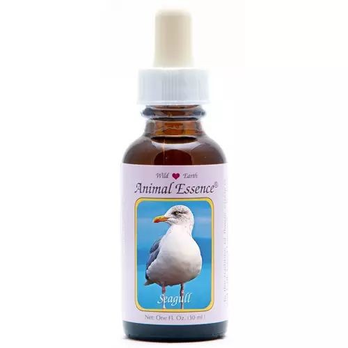 Animal Essences Seagull (zeemeeuw) (30 Milliliter)