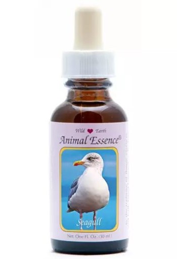 Animal Essences Seagull (zeemeeuw) (30 Milliliter)