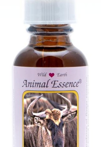 Animal Essences Wildebeest (30 Milliliter)
