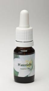 Star Remedies Waterlelie (10 Milliliter)