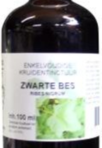 Natura Sanat Ribes nigrum / zwarte bes tinctuur bio (100 Milliliter)