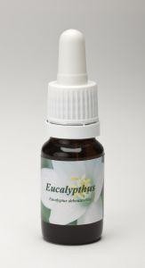 Star Remedies Eucalyptus (10 Milliliter)
