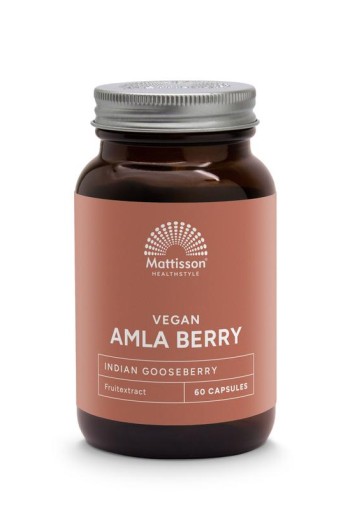 Mattisson Absolute amla berry extract 500mg (60 Vegetarische capsules)