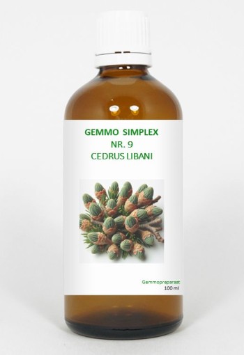 Balancepharma Gemmo simplex 9 cedrus libani (100 Milliliter)