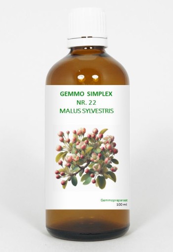 Balancepharma Gemmo simplex 22 Malus sylvestris (100 Milliliter)