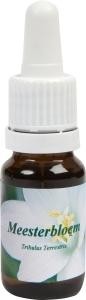 Star Remedies Meesterbloem (10 Milliliter)