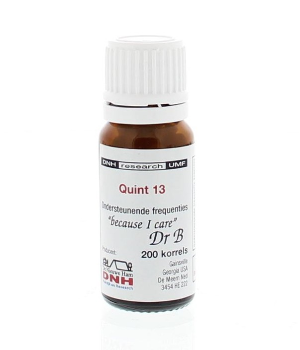 DNH Quint 13 BMYD (200 Stuks)