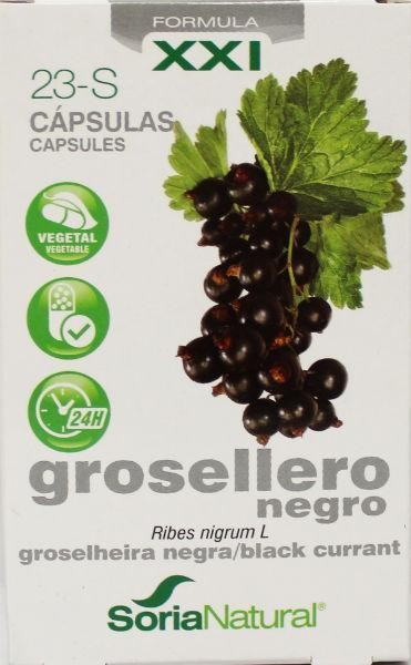 Soria Natural 23-S Ribes nigrum XXI (30 Capsules)